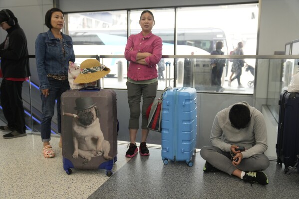 United airlines baggage number store